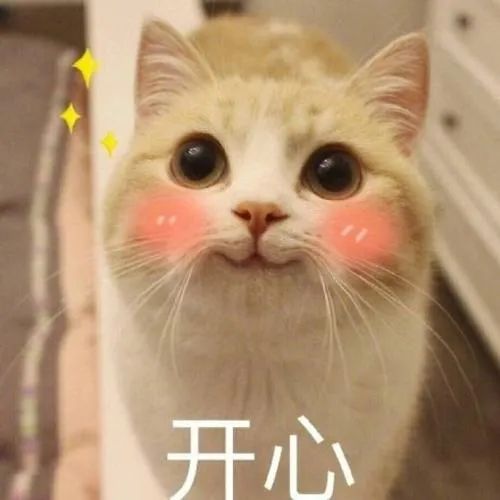 DƬ